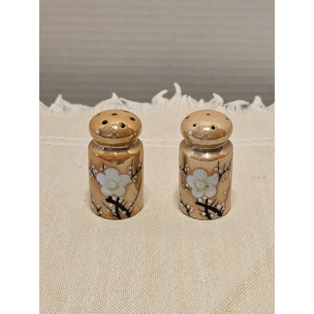 Vintage Orange Luster Hand-Painted Floral Salt And Pepper Shakers Japan
